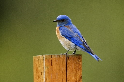 f:id:nozomyu:20170714101114j:plain f:id:nozomyu:20170714101114j:plain