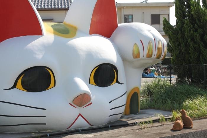 f:id:nozomyu:20170815182545j:plain f:id:nozomyu:20170815182545j:plain