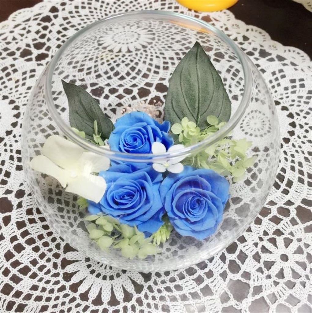 f:id:nozomyu:20180610113844j:image