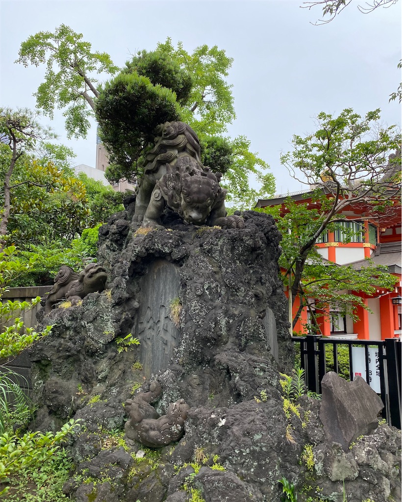 f:id:nozomyu:20210626195114j:plain