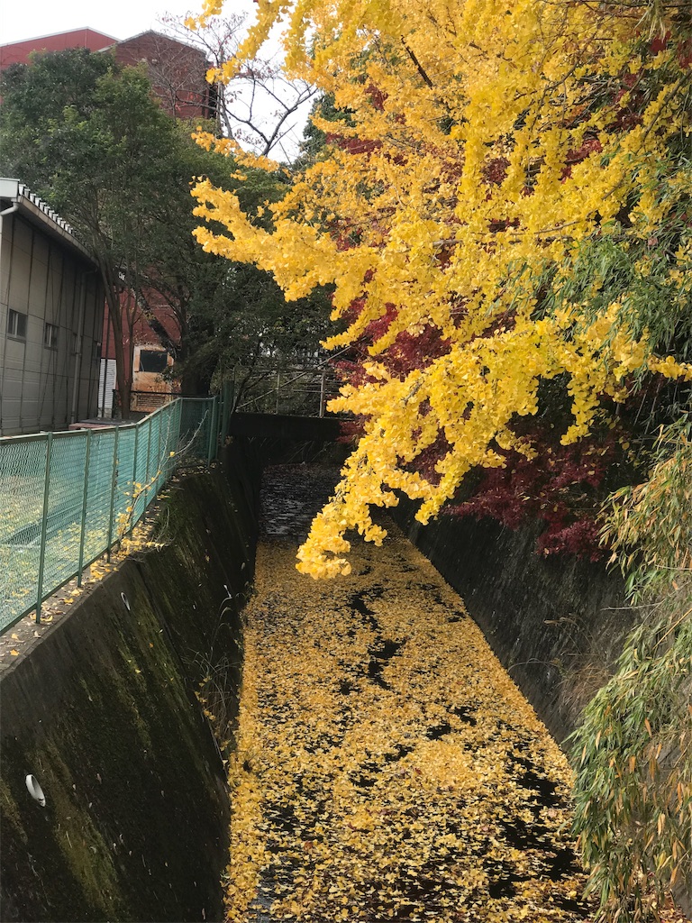 f:id:nozosan-net:20191125071526j:image f:id:nozosan-net:20191125071526j:image
