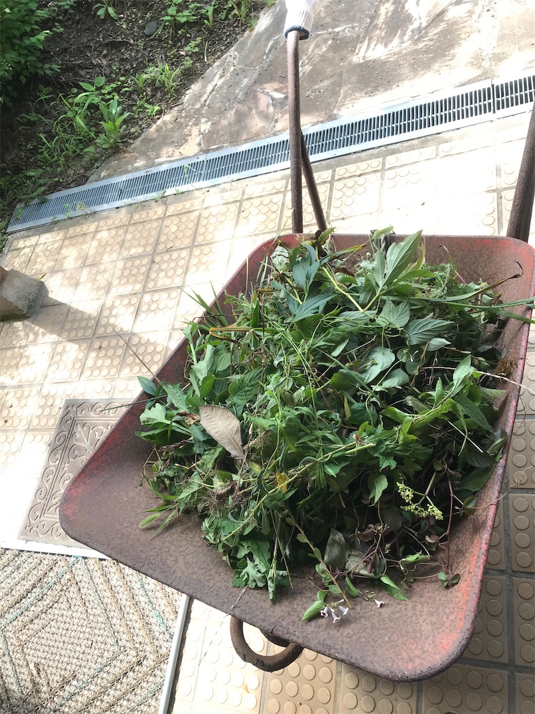 f:id:nozosan-net:20200814201353j:image f:id:nozosan-net:20200814201353j:image