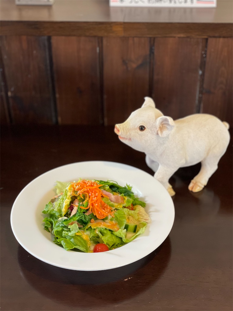 f:id:nozosan-net:20201122172003j:image f:id:nozosan-net:20201122172003j:image