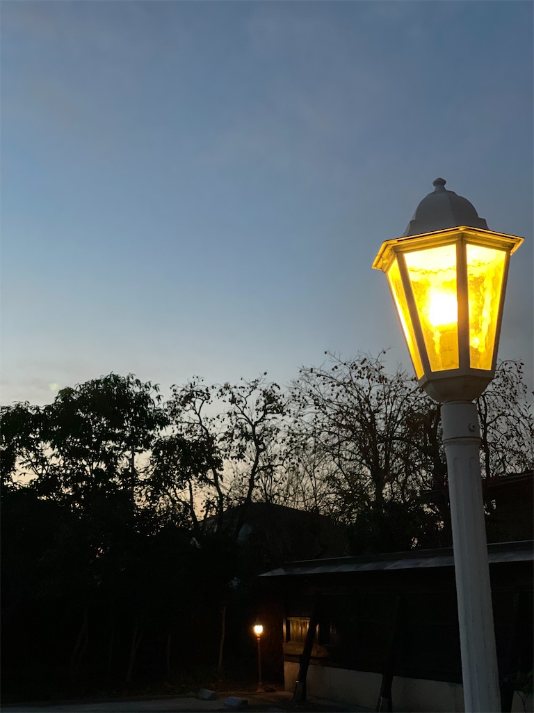 f:id:nozosan-net:20201202095541j:image