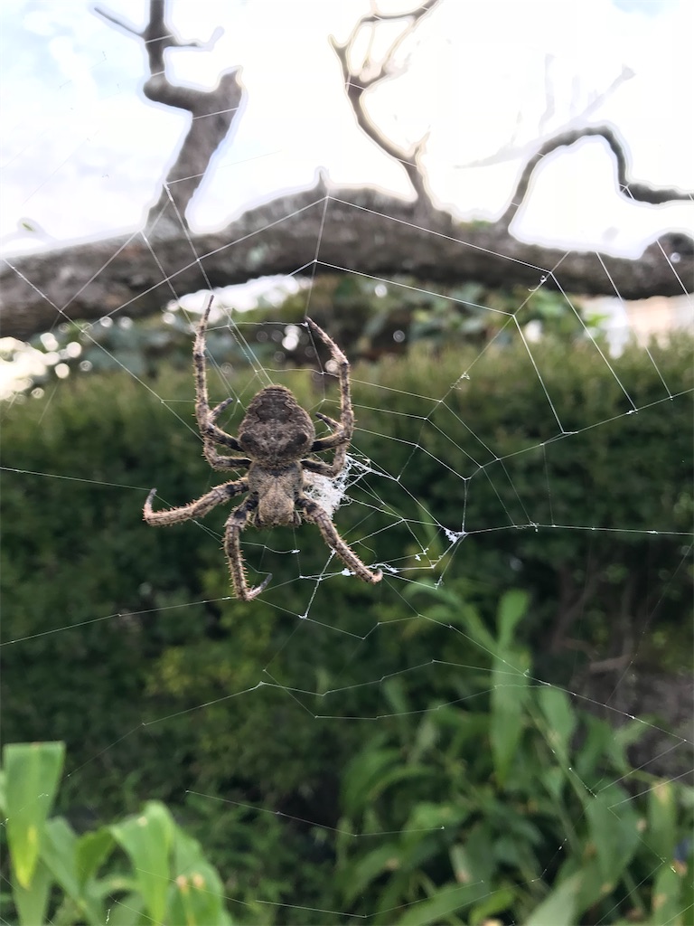 f:id:nozosan-net:20211030085630j:image