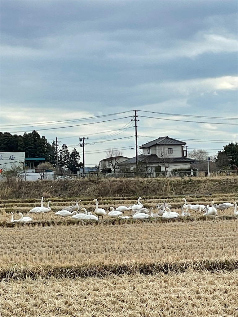 f:id:nozosan-net:20220214085149j:image f:id:nozosan-net:20220214085149j:image