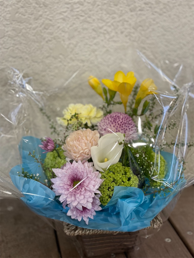 f:id:nozosan-net:20220320085454j:image f:id:nozosan-net:20220320085454j:image