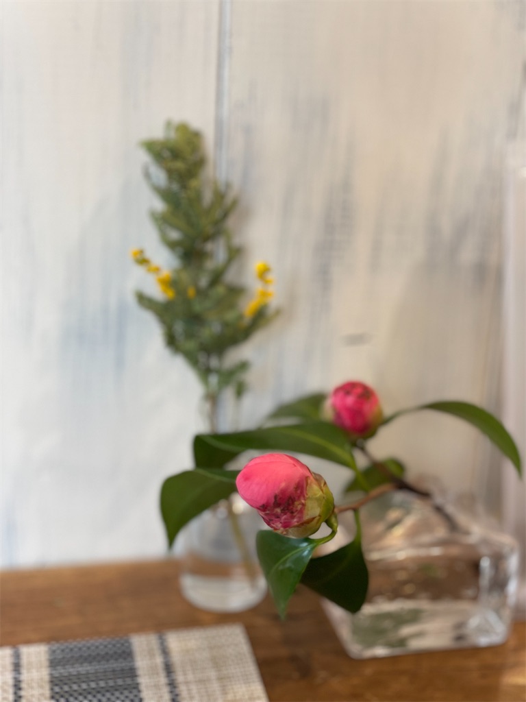 f:id:nozosan-net:20220320100857j:image