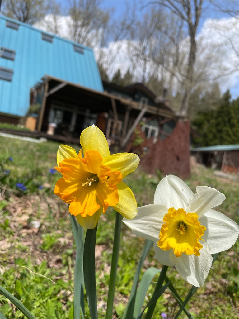 f:id:nozosan-net:20220512065032j:image