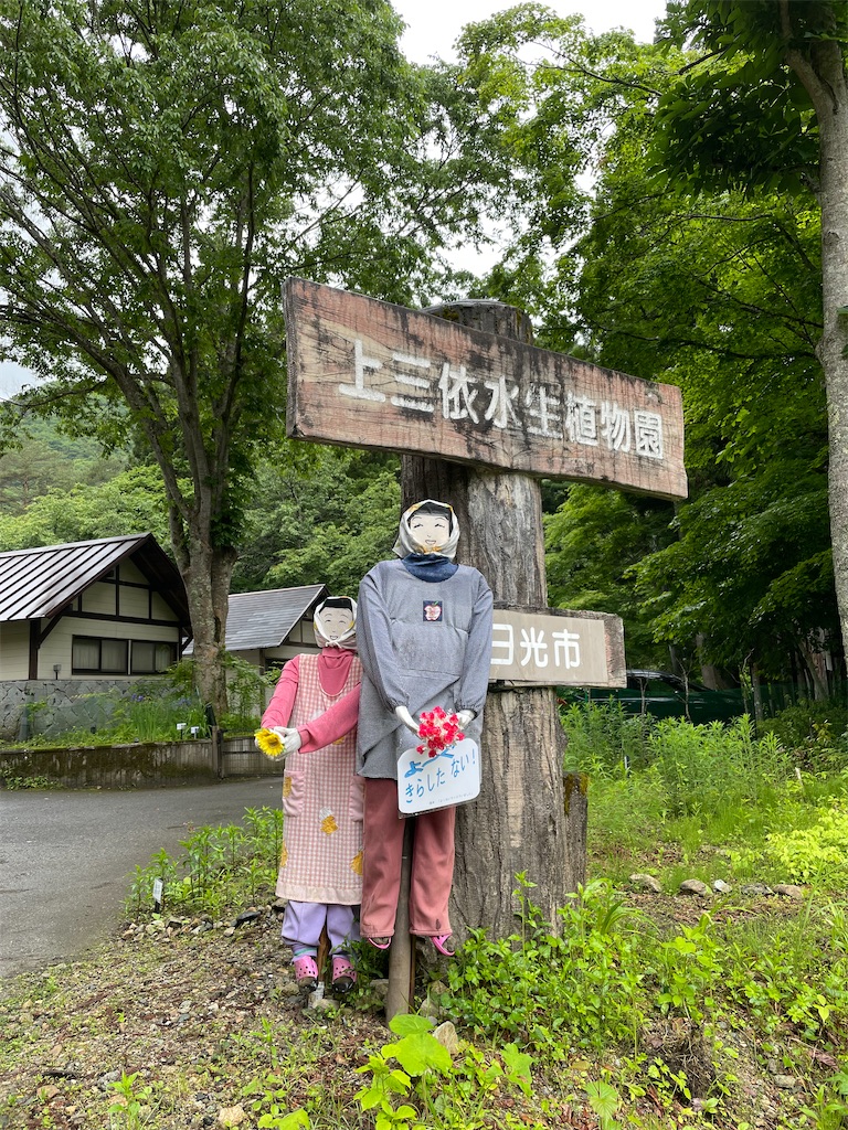 f:id:nozosan-net:20220610142506j:image f:id:nozosan-net:20220610142506j:image