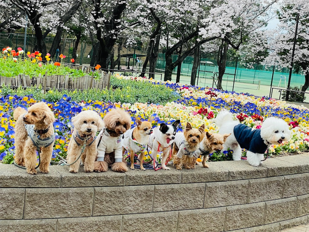 f:id:nozosan-net:20220924073628j:image