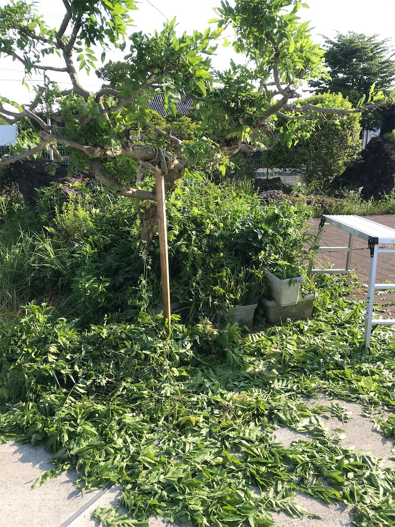 f:id:nozosan-net:20221023083912j:image f:id:nozosan-net:20221023083912j:image