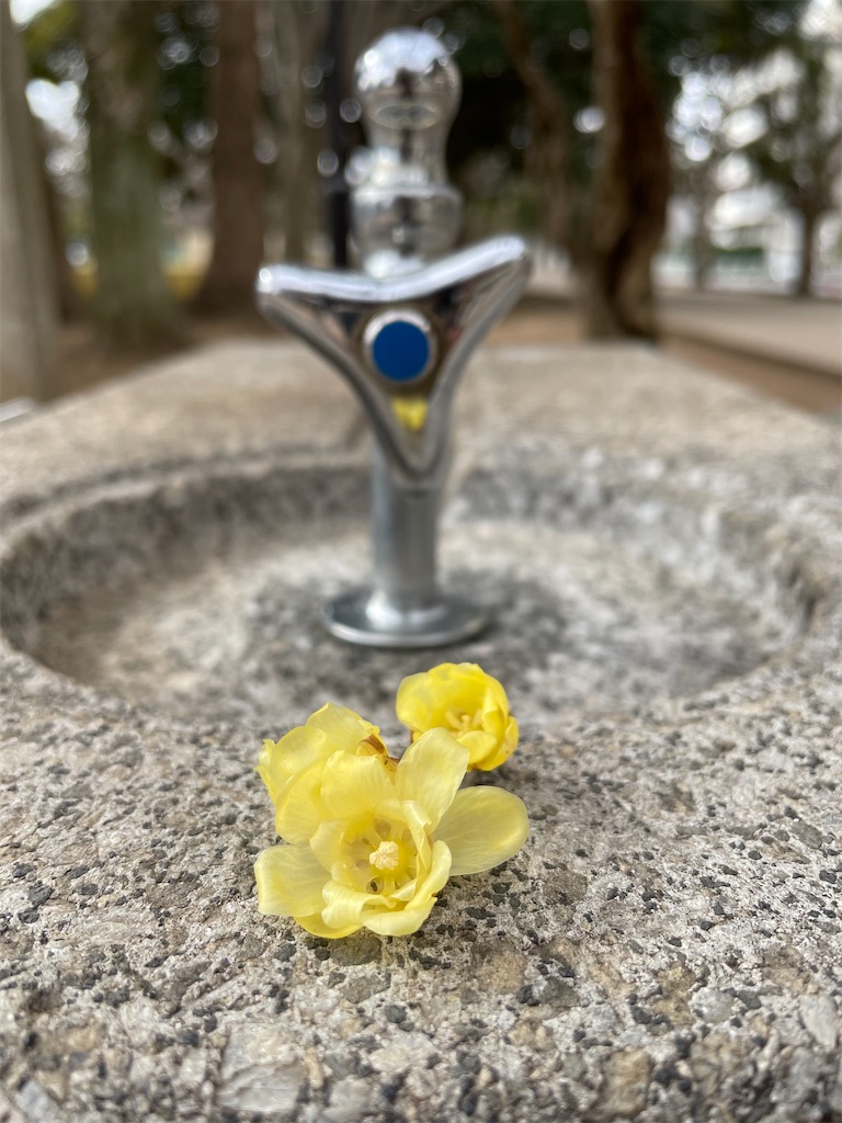 f:id:nozosan-net:20221221075320j:image