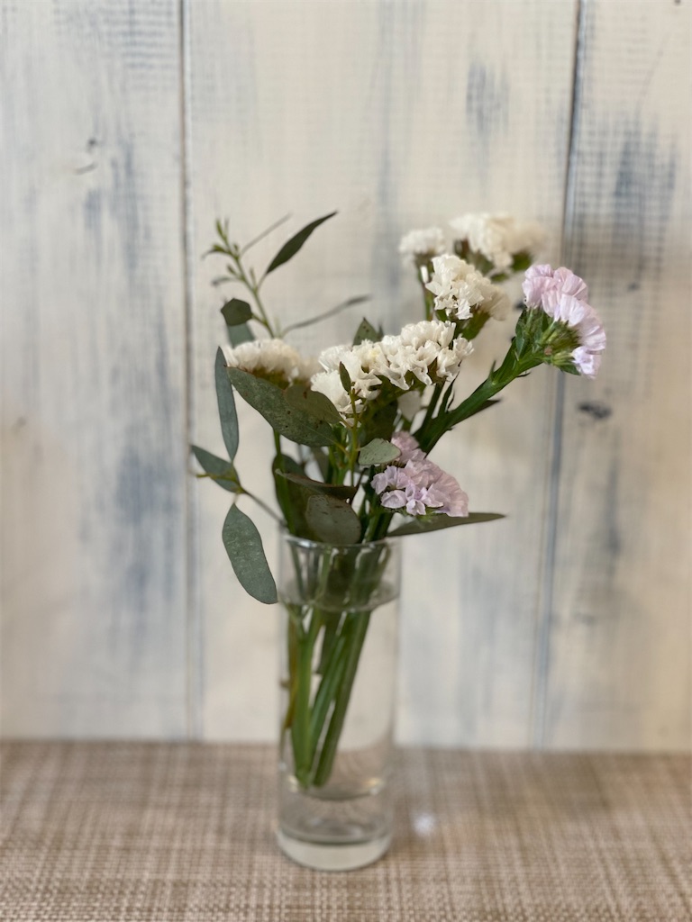 f:id:nozosan-net:20230123075337j:image