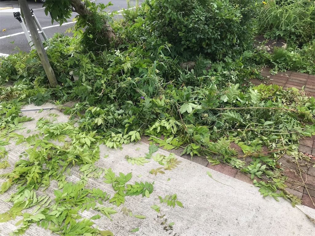 f:id:nozosan-net:20230514074854j:image