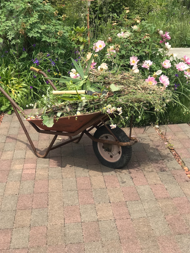 f:id:nozosan-net:20230514074857j:image