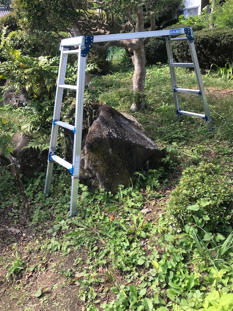 f:id:nozosan-net:20230514074904j:image