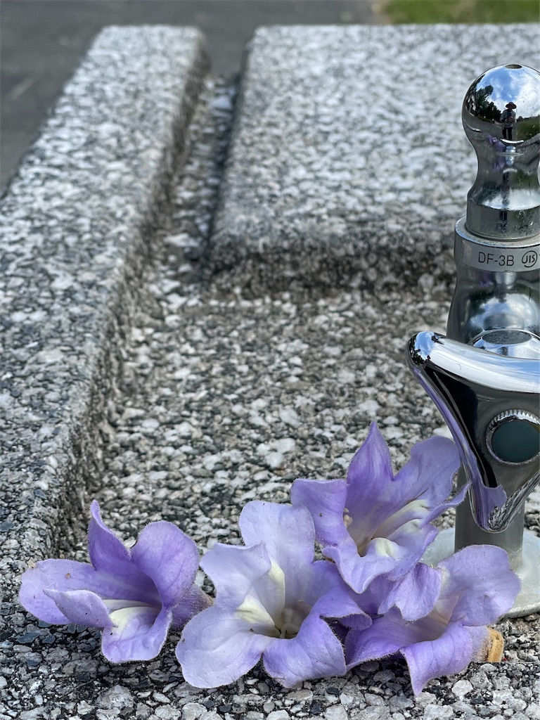 f:id:nozosan-net:20230517075356j:image f:id:nozosan-net:20230517075356j:image