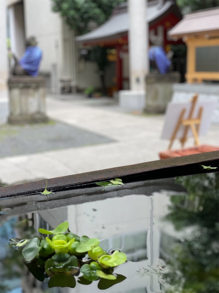 f:id:nozosan-net:20230604072637j:image