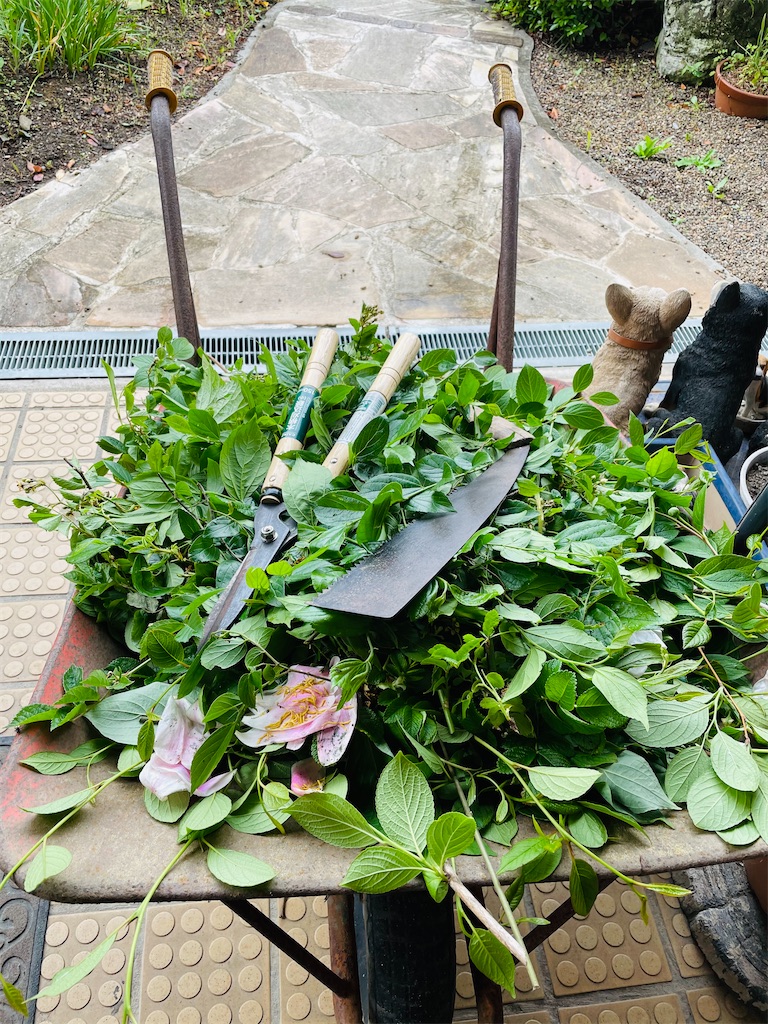 f:id:nozosan-net:20230630073636j:image f:id:nozosan-net:20230630073636j:image