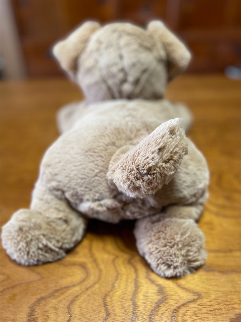 f:id:nozosan-net:20230702073502j:image