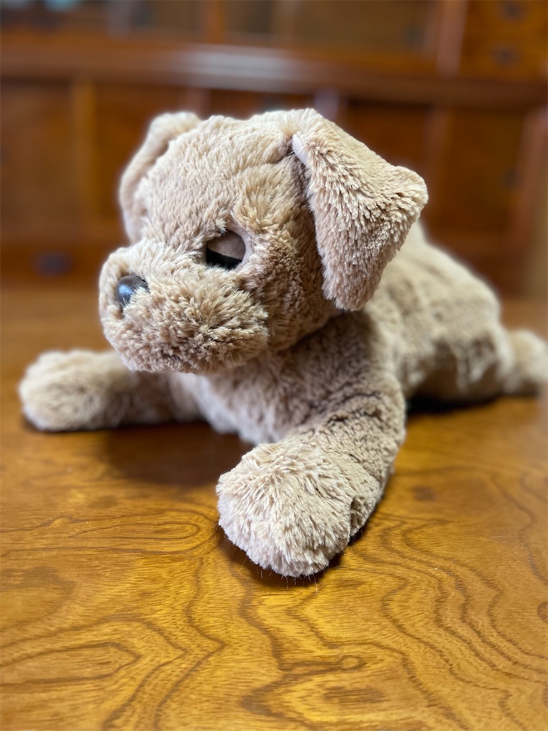 f:id:nozosan-net:20230702073513j:image