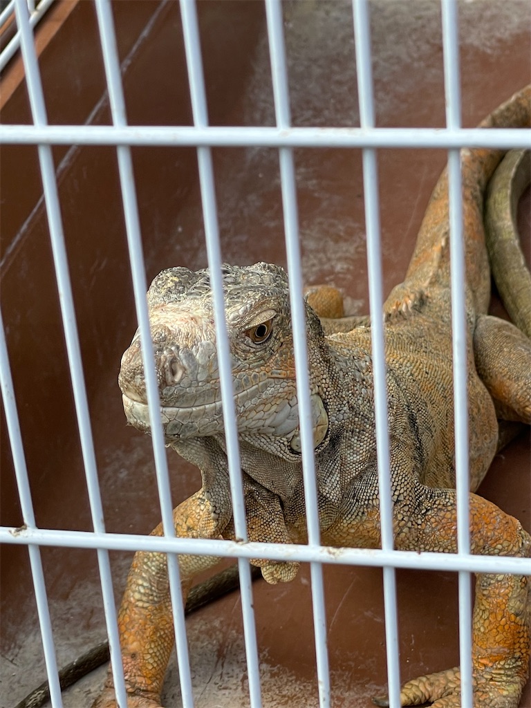 f:id:nozosan-net:20231002072103j:image f:id:nozosan-net:20231002072103j:image