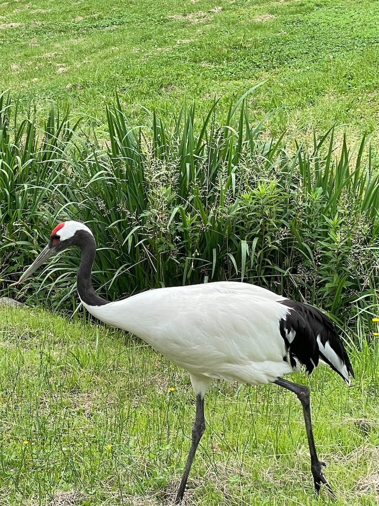 f:id:nozosan-net:20231002072155j:image f:id:nozosan-net:20231002072155j:image