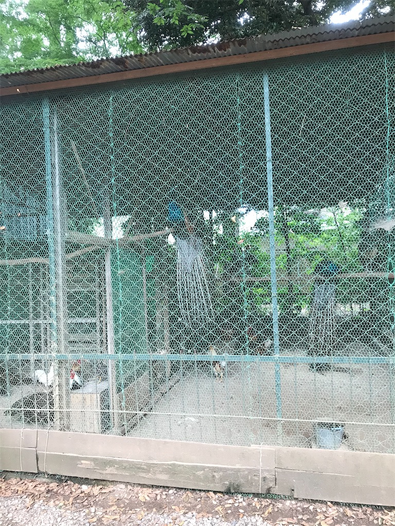 f:id:nozosan-net:20231002072303j:image f:id:nozosan-net:20231002072303j:image