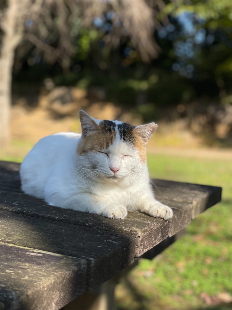 f:id:nozosan-net:20231215080137j:image f:id:nozosan-net:20231215080137j:image