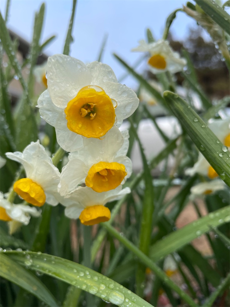 f:id:nozosan-net:20240124085328j:image f:id:nozosan-net:20240124085328j:image