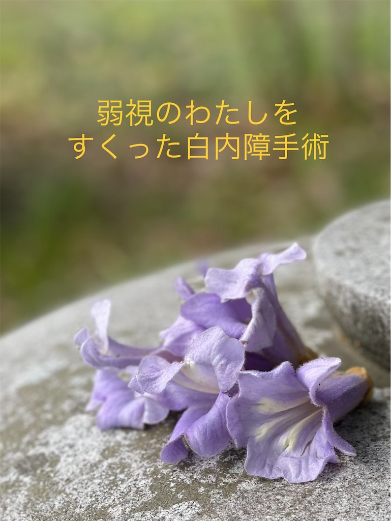f:id:nozosan-net:20240124085527j:image f:id:nozosan-net:20240124085527j:image