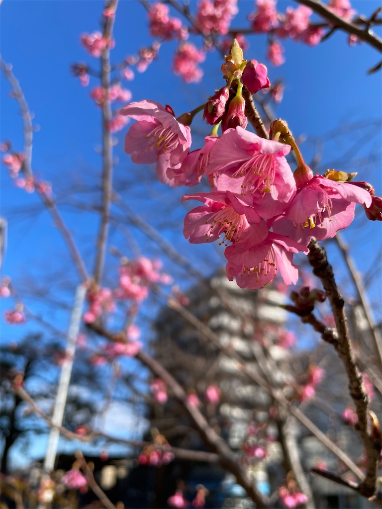 f:id:nozosan-net:20240204090314j:image f:id:nozosan-net:20240204090314j:image