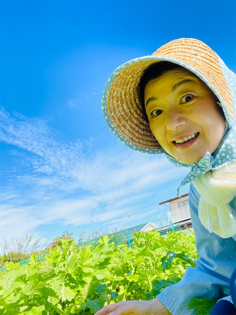 f:id:nozosan-net:20240301092937j:image