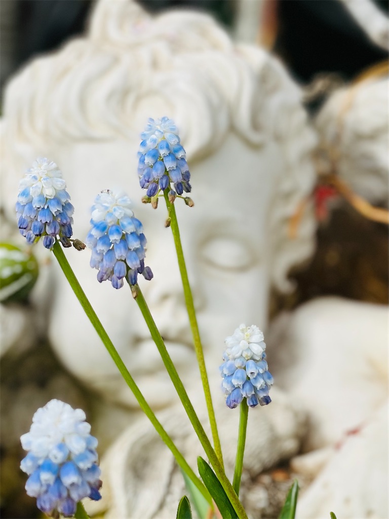 f:id:nozosan-net:20240315082839j:image f:id:nozosan-net:20240315082839j:image