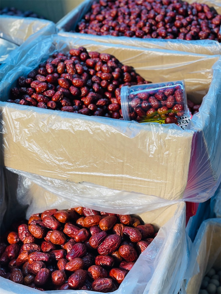 f:id:nozosan-net:20240411060504j:image