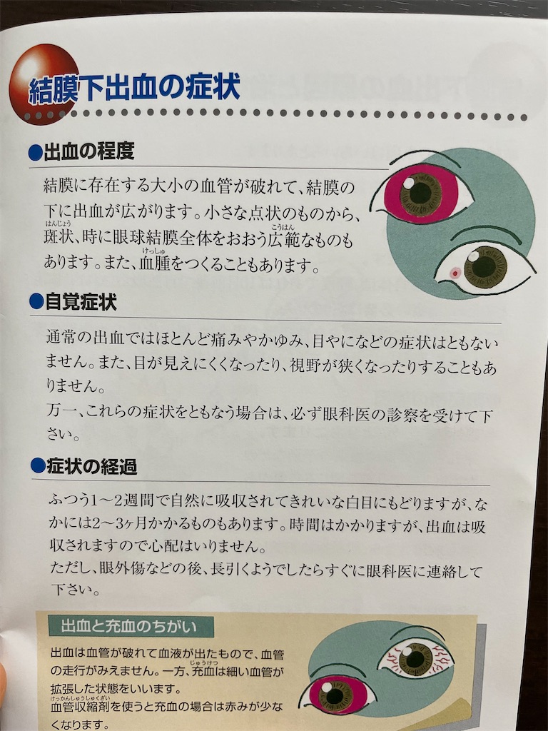 f:id:nozosan-net:20240427074207j:image