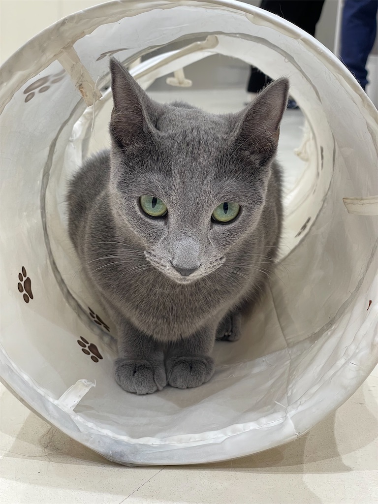 f:id:nozosan-net:20240429085718j:image f:id:nozosan-net:20240429085718j:image