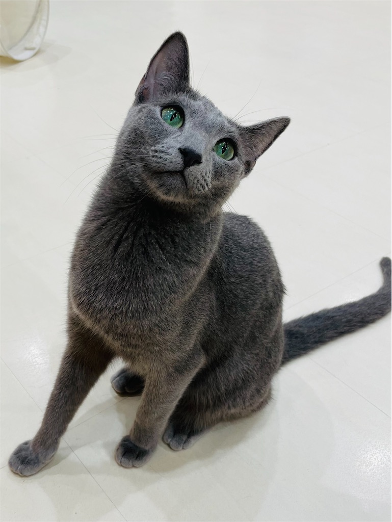 f:id:nozosan-net:20240429085743j:image f:id:nozosan-net:20240429085743j:image