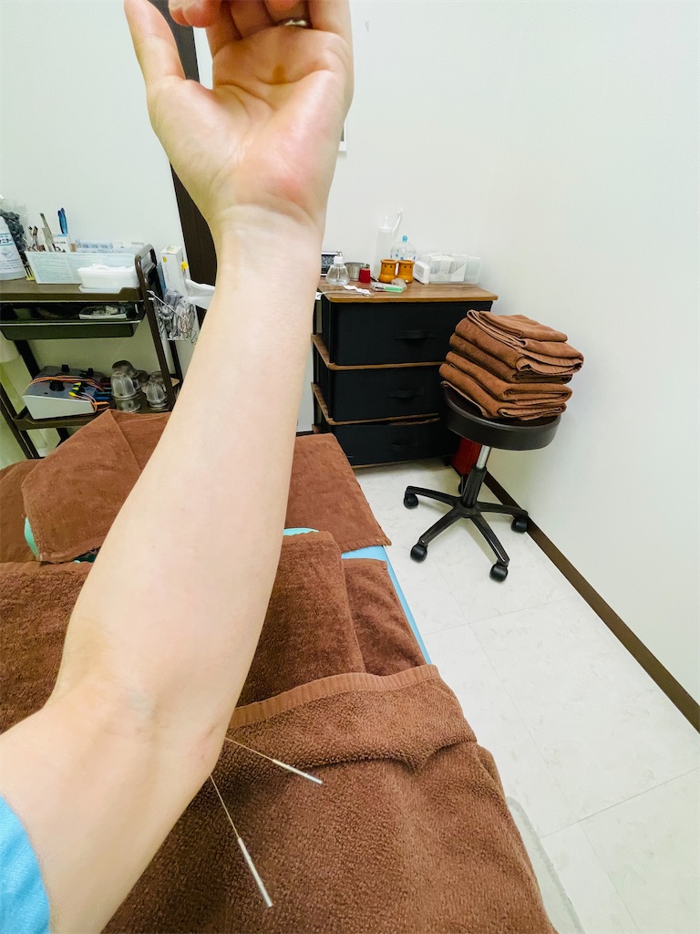 f:id:nozosan-net:20240530073605j:image