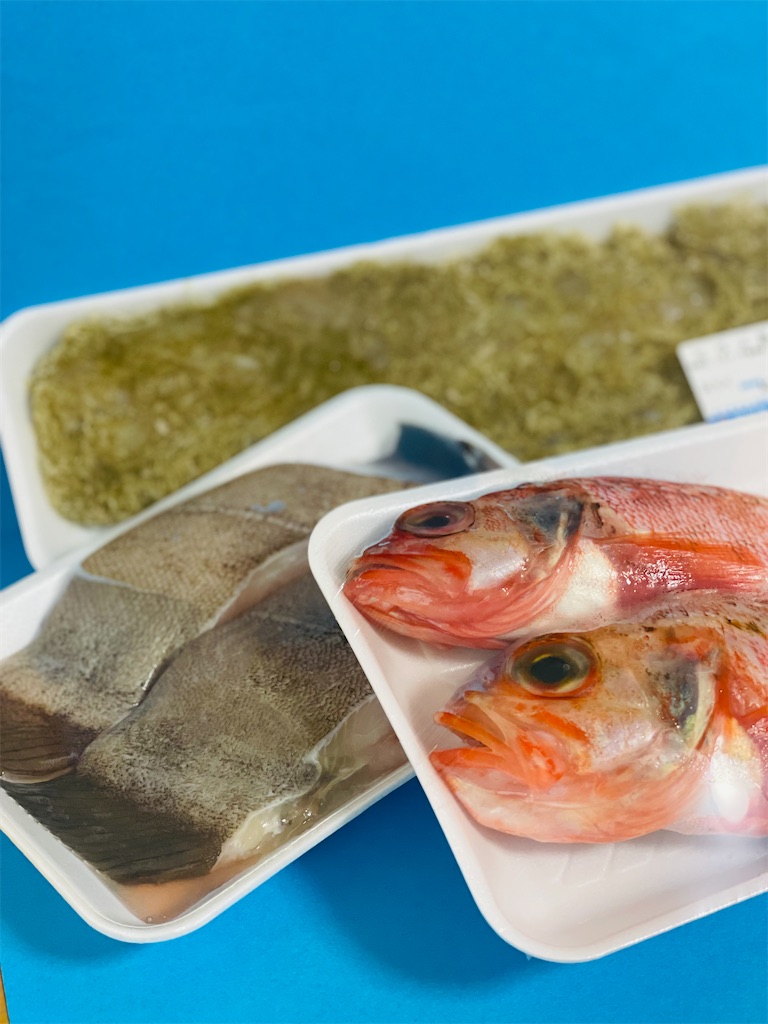 f:id:nozosan-net:20240723090127j:image