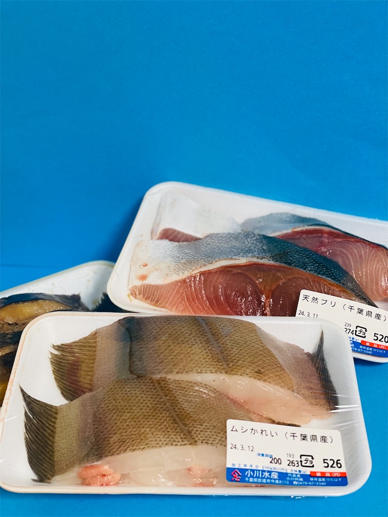 f:id:nozosan-net:20240723090130j:image