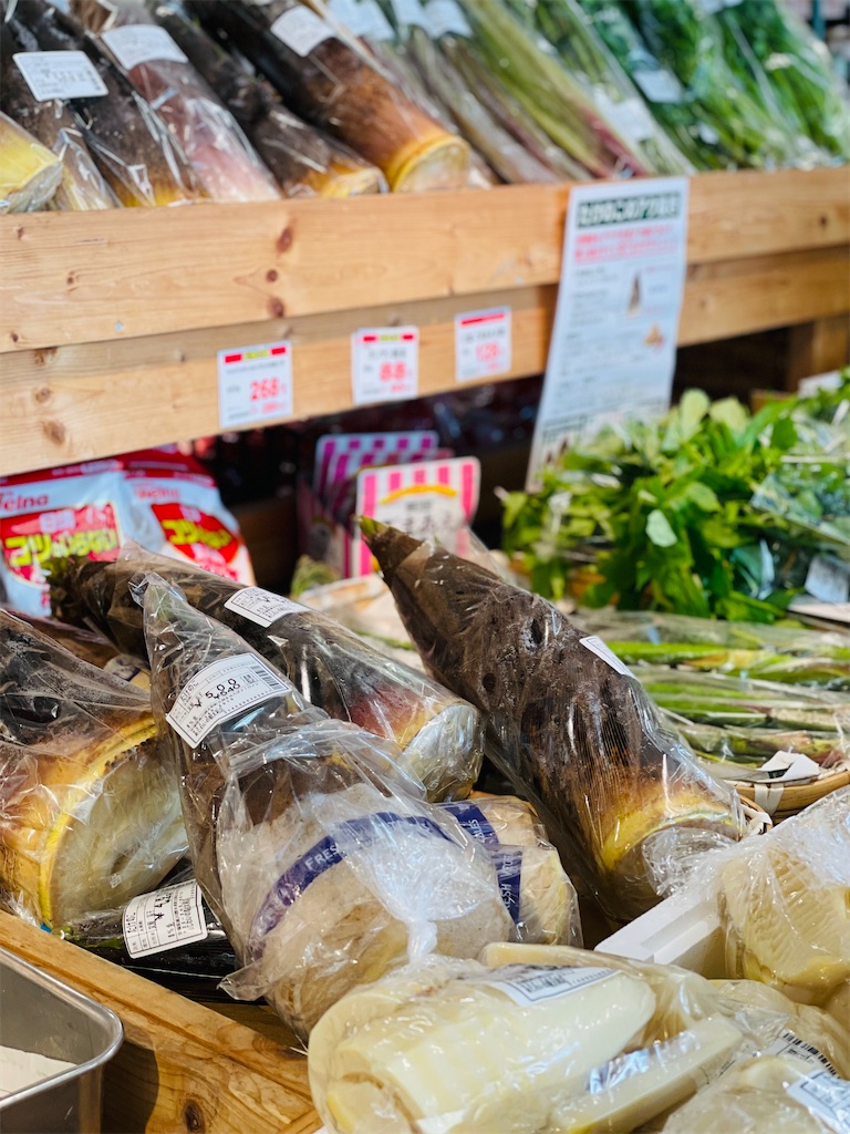 f:id:nozosan-net:20240809090223j:image