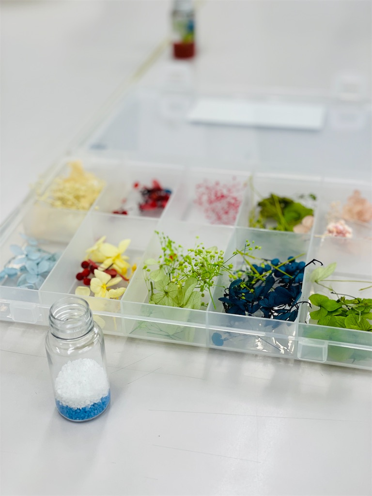 f:id:nozosan-net:20241027064823j:image