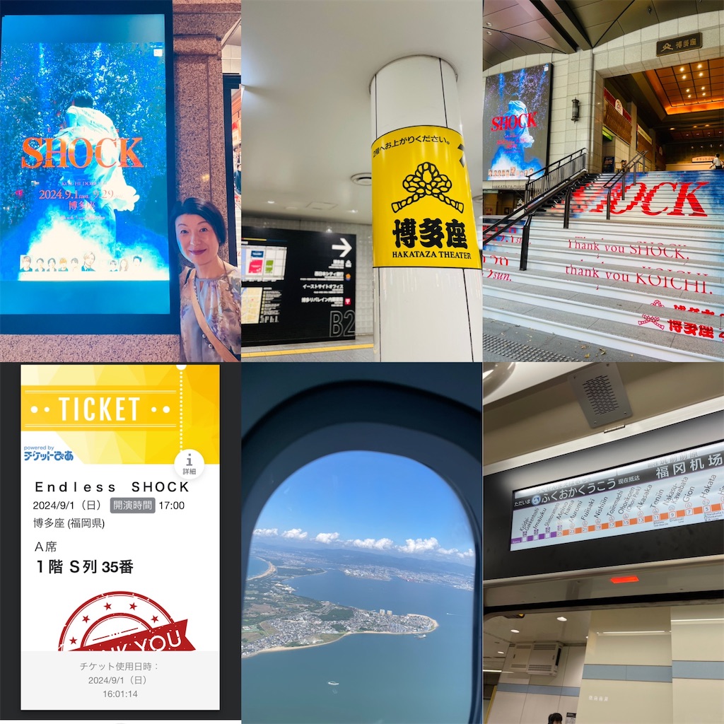 f:id:nozosan-net:20241219070241j:image