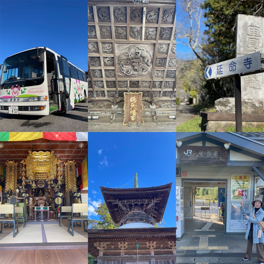 f:id:nozosan-net:20241219070415j:image