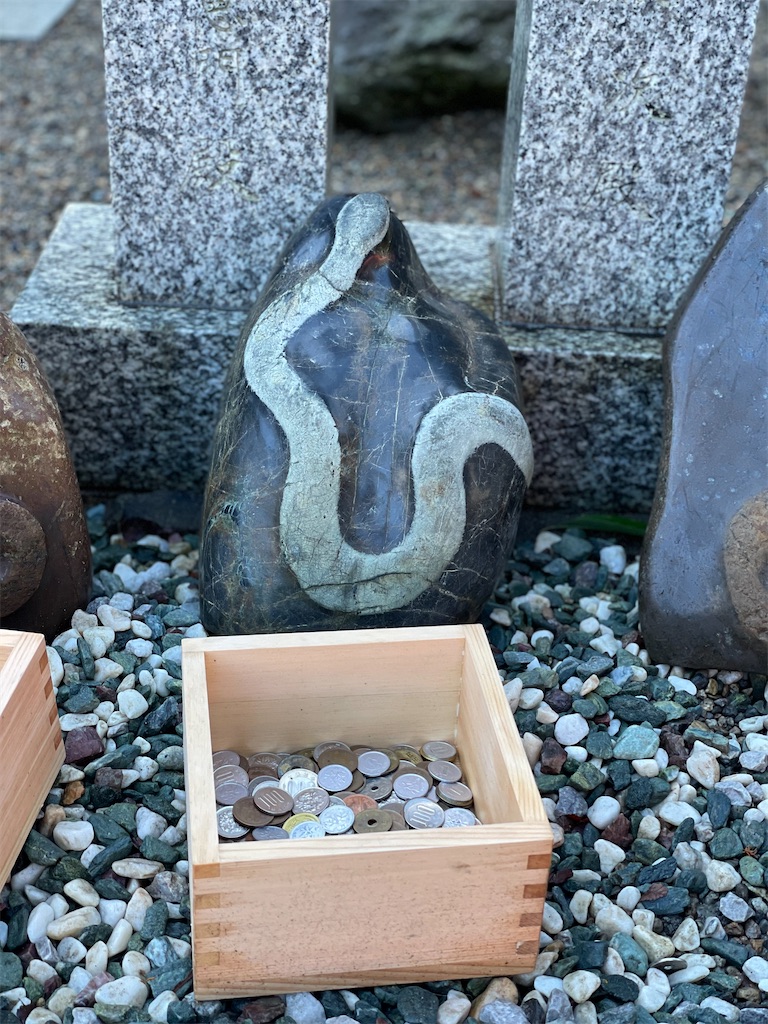 f:id:nozosan-net:20250108084306j:image