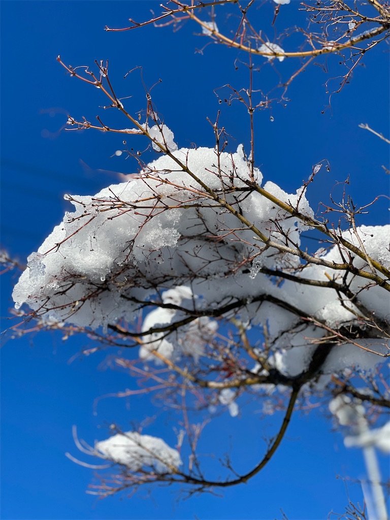 f:id:nozosan-net:20250112091150j:image f:id:nozosan-net:20250112091150j:image