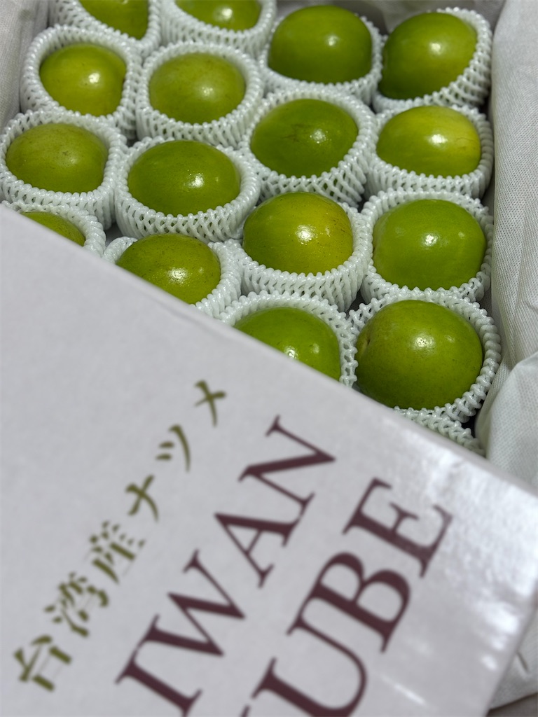 f:id:nozosan-net:20250315070758j:image f:id:nozosan-net:20250315070758j:image