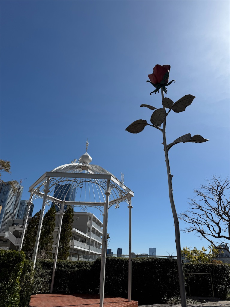 f:id:nozosan-net:20250320085541j:image f:id:nozosan-net:20250320085541j:image